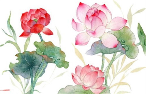 农历二〇二六年三月廿六黄历不适合远行吗,出行好日子查询