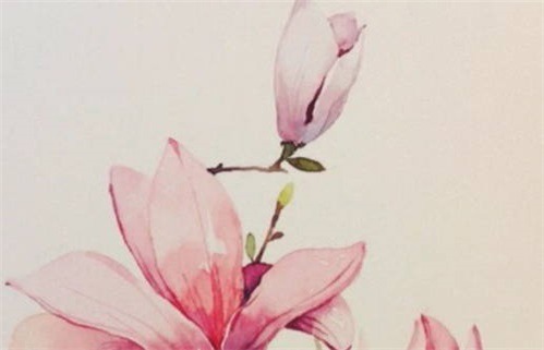 农历二〇二六年四月二十黄历不适宜旅游吗,出行好日子查询