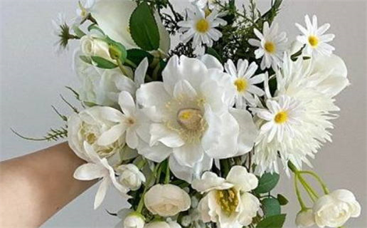 属鼠的人福禄双至(属鼠有福)