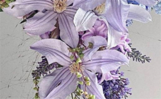 属鼠的人能否佩戴鼠饰品详解