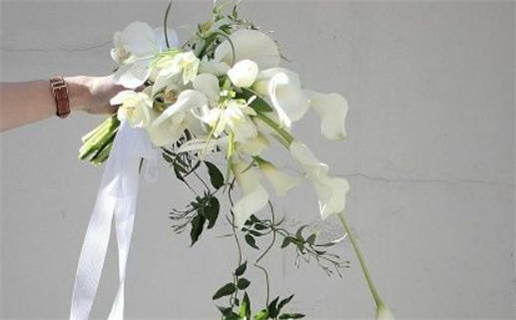 84属鼠的男人老了的命运_84的属鼠男人终生命运如何啊?