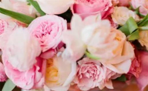 2021年属鼠的克星(属鼠人的克星都是哪些)