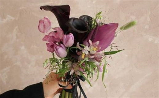 八字算命入门指南揭示人生运势的秘密