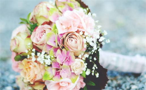 处女女与射手座男配吗(处女女与射手座男配吗婚姻)