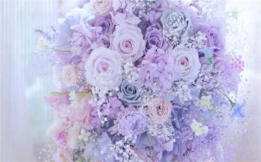 1960年属鼠人的命运解析及性格特点分析