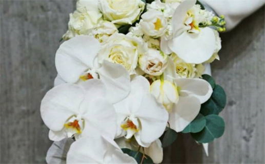 有猫缘的女人什么命(一生旺主人的猫名字)