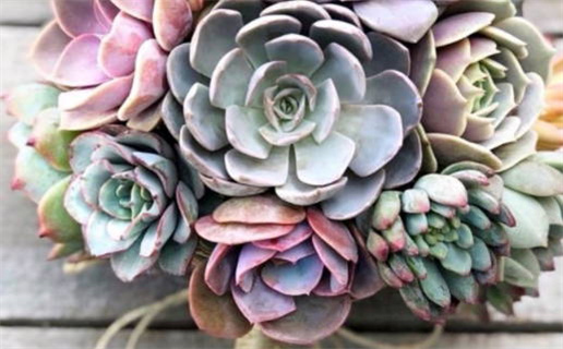 1980年出生的人命运解析与人生关键因素