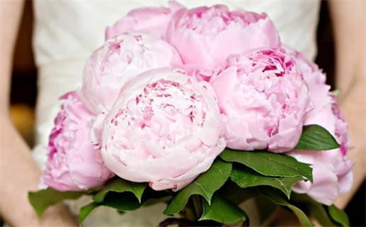 2023年近期开业黄道吉日查询指南