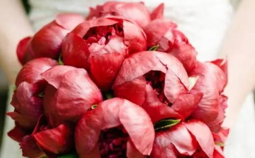 名字大全网为你提供独特个性名字选择指南