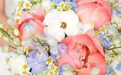 火命和什么命在一起好_天上火命和什么命在一起好