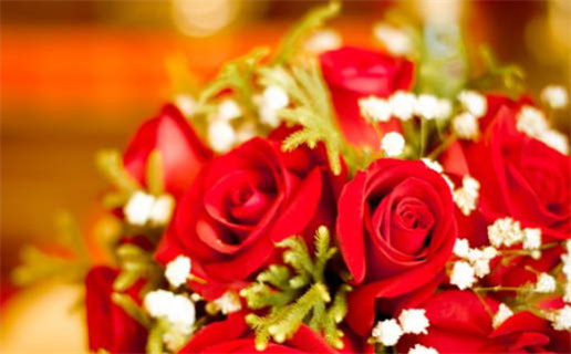 00年属龙的是什么命(2000年属龙的是什么命)