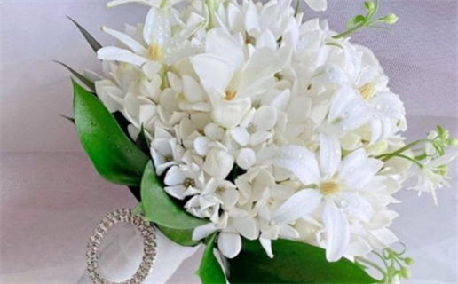 1969年属鸡人命运分析与性格特点揭秘