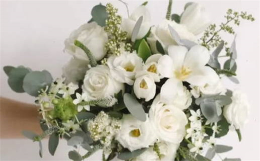 1977属蛇命运解析与性格特点详解