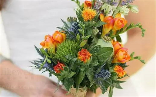 1949年是什么命_1949年是什么命五行属什么命