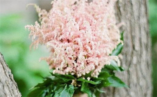 1968年属猴的五行命理解析与运势特点