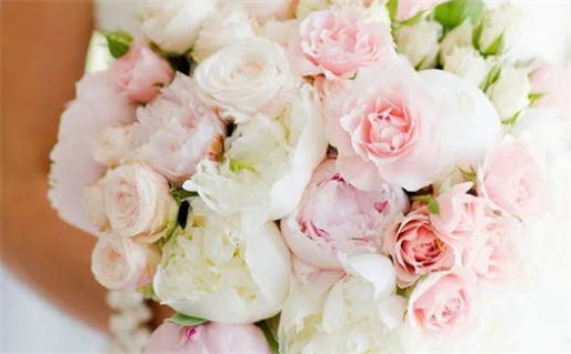 免费算命八字合婚服务助你找到幸福伴侣