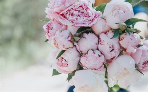 炉中火命佩戴什么好(炉中火命佩戴什么好,缺什么)