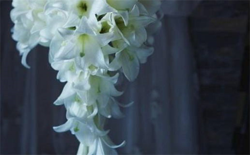 87年五行命理解析分析及运势详解