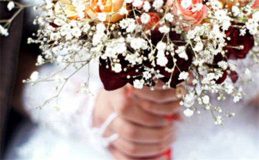 生肖鼠与猴的相合关系解析与运势分析