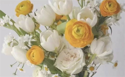 今年出生的人是什么命_今年出生的人是什么命?