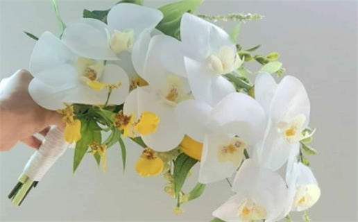 属鼠女孩鹰骨命的命运与发展分析