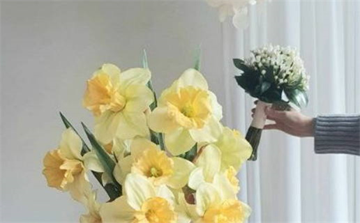 射手座女生会暗恋吗(射手座女生会暗恋吗知乎)