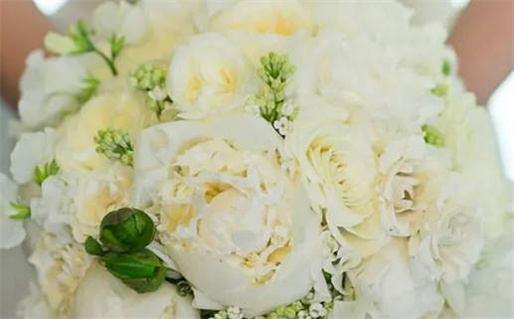 76年属龙是什么命解析与运势分析