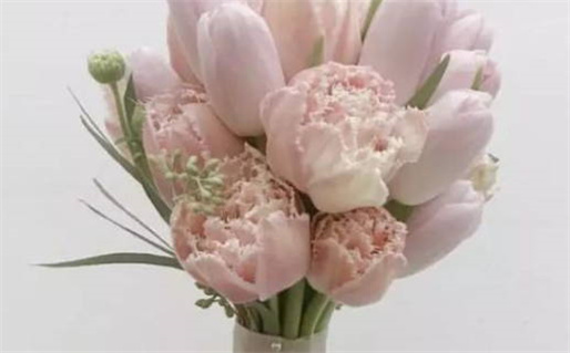 白蜡金命解析及其对人生的影响