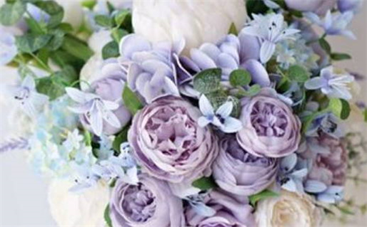 1972年的鼠是什么命(1972年的鼠是什么命 五行属什么)