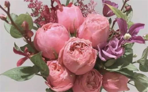 如何简单判断自己是什么命探寻你的命理智慧