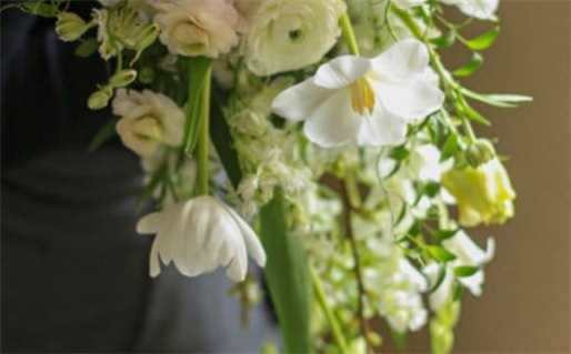 属鼠七月份运势分析与运势提升建议