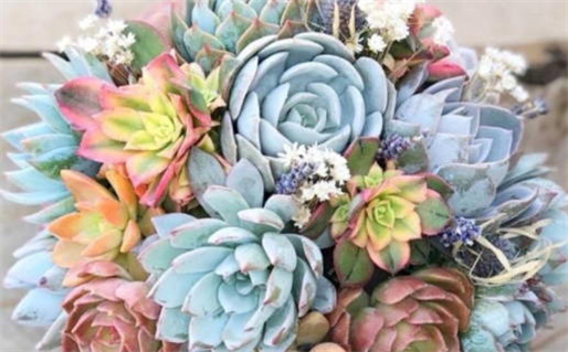 大年初二出生是什么命_大年初二出生是什么命运