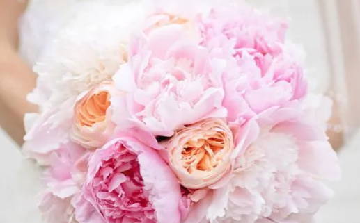 1963年属兔的是什么命_1963年属兔的是什么命五行属什么