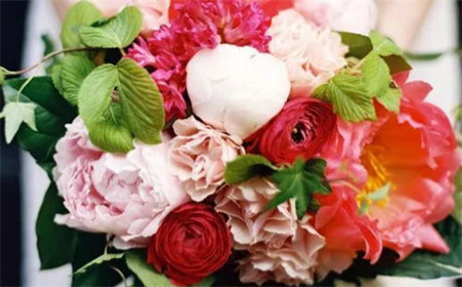 杨柳木命是什么意思_2003杨柳木命是什么意思