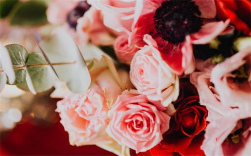 1987年兔是什么命(1987年兔是什么命 五行)