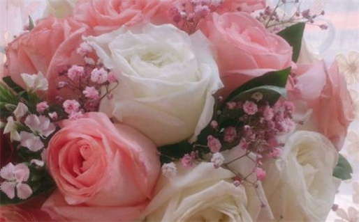 好名字测试(好名字测试免费查询)