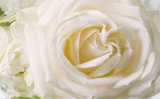 今日万年历2026年07月04日结婚吉日,结婚好日子查询