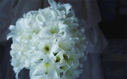 农历二〇二六年三月廿一黄历办理结婚证不适合吗,这天领证合适吗