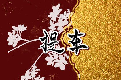 2026年06月09日老黄历适合取车吗